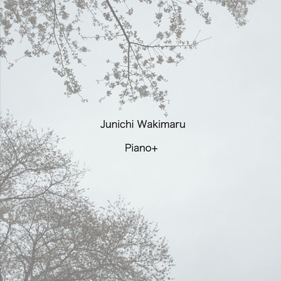 Piano+/ワキマル・ジュンイチ