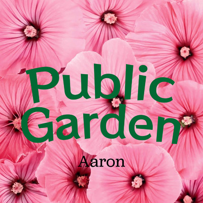 Public Garden/Aaron