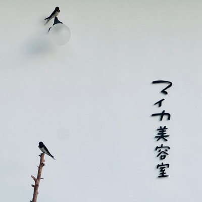 シングル/マイカ美容室の歌/小沢かづと