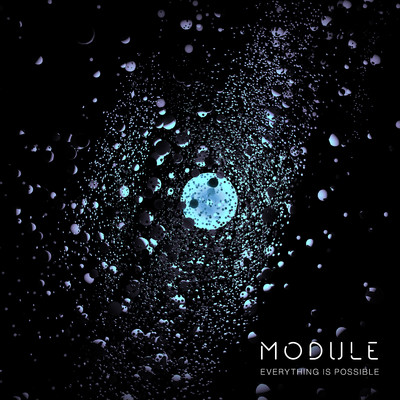 Everything Is Possible/Module