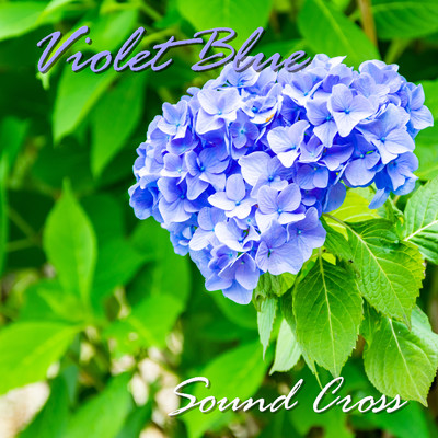 Violet Blue/Sound Cross