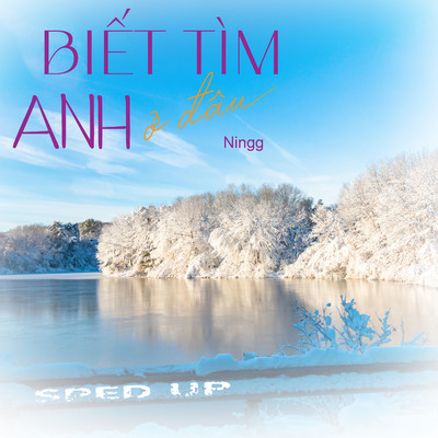アルバム/Biet Tim Anh O Dau (Sped Up)/Ningg
