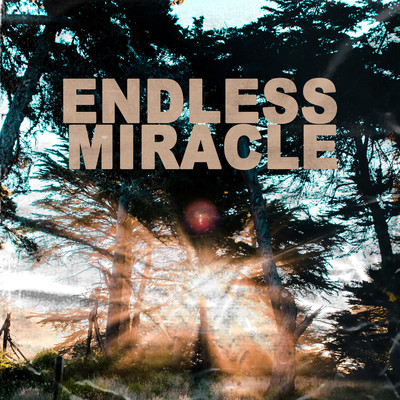 Endless Miracle/Bessie Hidde