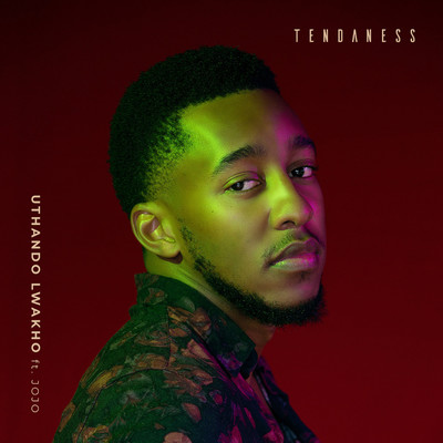 Uthando Lwakho (feat. JoJo)/Tendaness