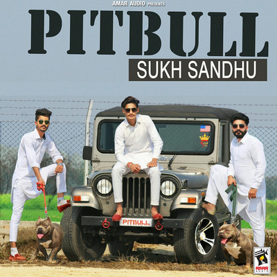 Pitbull/Sukh Sandhu