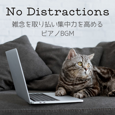 雑念を取り払い集中力を高めるピアノBGM - No Distractions/Relaxing BGM Project