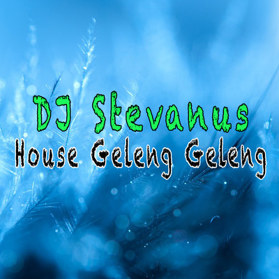 House Geleng Geleng/DJ Stevanus