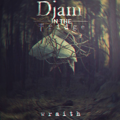 Wraith/Djam In The Fridge
