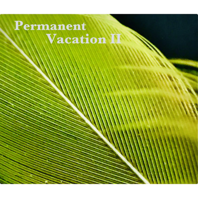 シングル/fish/Permanent Vacation