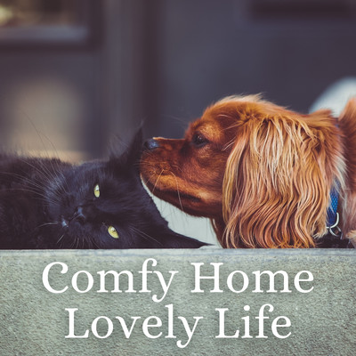 Comfy Home Lovely Life/Eximo Blue