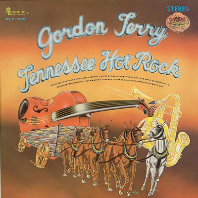 アルバム/Tennessee Hot Rock/GORDON TERRY