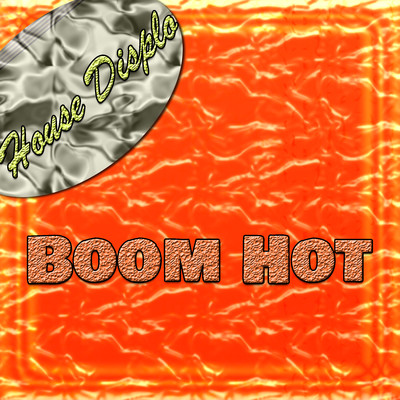 House Displo Boom Hot/Various Artists
