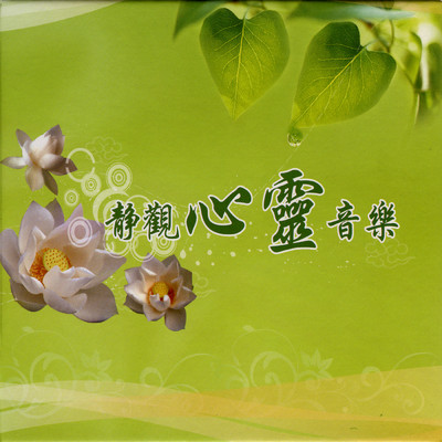 Jing Guan Xin Ling Yin Yue/Liu Lu／Liao Yuan Rong／Xu Guo Sheng