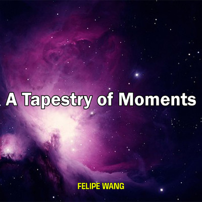 シングル/A Tapestry of Moments/Felipe Wang