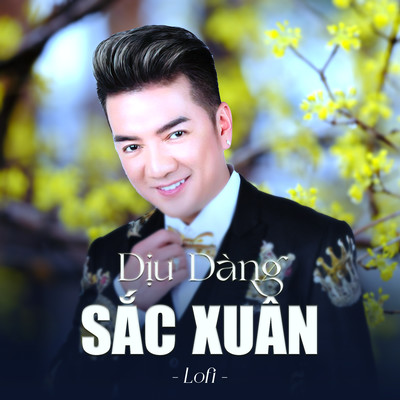 Diu Dang Sac Xuan (lofi)/Dam Vinh Hung