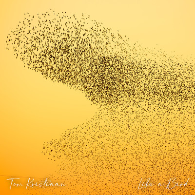 シングル/Like a Bird/Tom Kristiaan