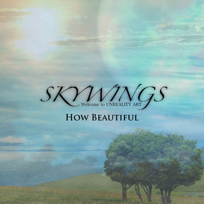 アルバム/How Beautiful/SKYWINGS