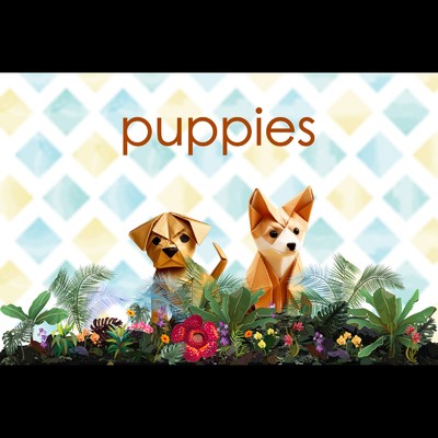 puppies/nanane