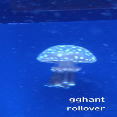 アルバム/rollover/gghant