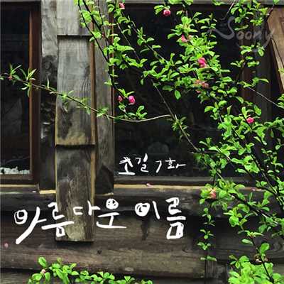アルバム/SOGIL 7/Jang Pil Soon