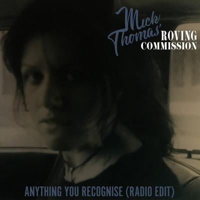 シングル/Anything You Recognise (Radio Edit)/Mick Thomas