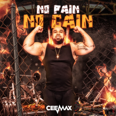 アルバム/No Pain No Gain/Ceemax
