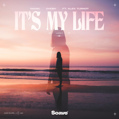 It's My Life (feat. Alex Turkot)/Namic & Shoby