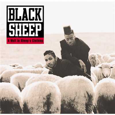 A Wolf In Sheep's Clothing (Explicit)/ブラック・シープ