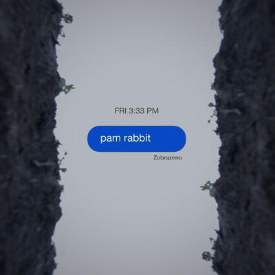 zobrazeno (Explicit)/Pam Rabbit