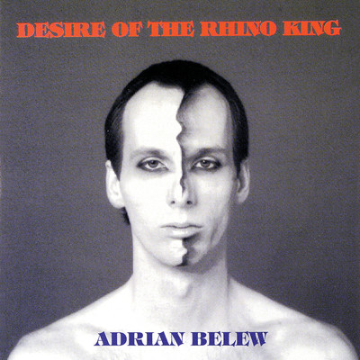 Desire Of The Rhino King/エイドリアン・ブリュー