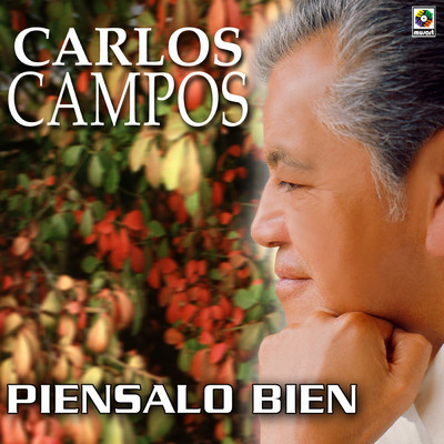 アルバム/Piensalo Bien/Carlos Campos