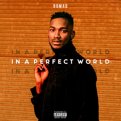 アルバム/In A Perfect World/Bo Maq