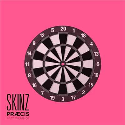 Praecis (feat. Wafande)/Skinz
