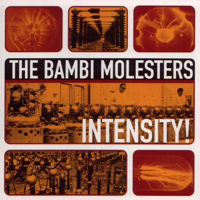 Central Coast Swing/The Bambi Molesters