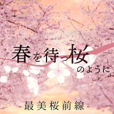 シングル/春を待つ桜のように/最美桜前線