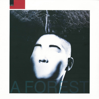 アルバム/A Forest/L. W. S.