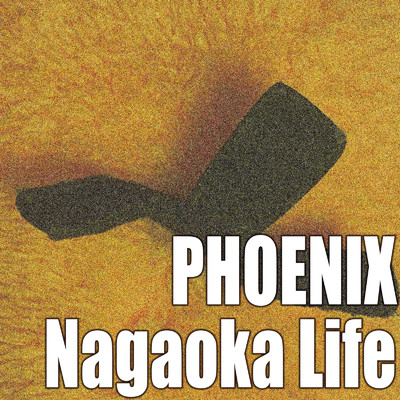 Nagaoka Life