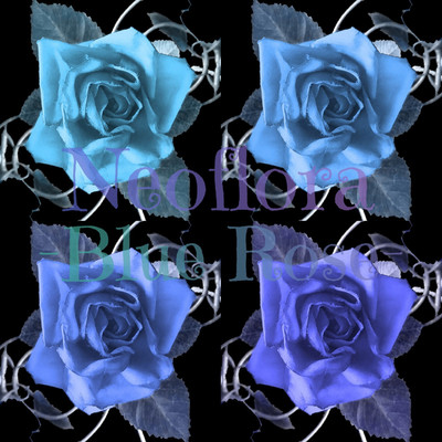Blue Rose/Neoflora