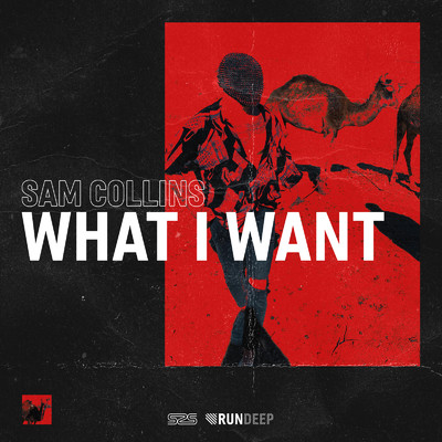アルバム/What I Want/Sam Collins