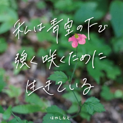 咲け/はやしなえ