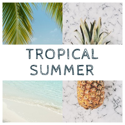 アルバム/Tropical Summer/Tsuyoshi_san