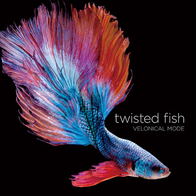 twisted fish/VELONICAL MODE