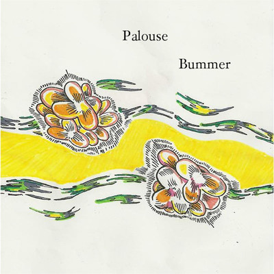 Palouse Bummer/Pen Pal