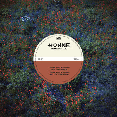 WHAT WOULD YOU DO？ (feat. Pink Sweat$) [Sun.E.Day Remix]/HONNE