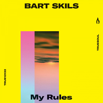 シングル/Cruising Waves/Bart Skils