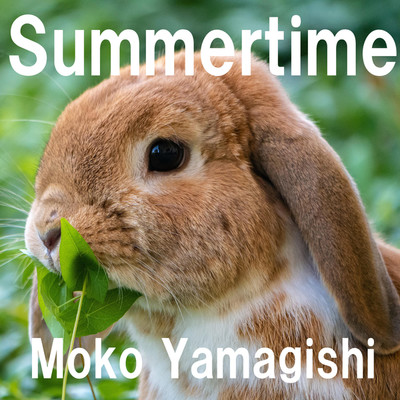 Summertime/山岸モコ