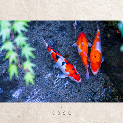 ease/Seizan Ishigaki