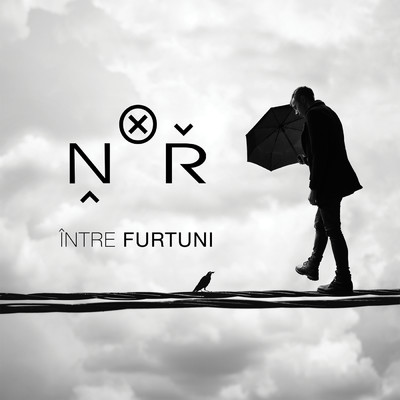 アルバム/Intre Furtuni/N.O.R.