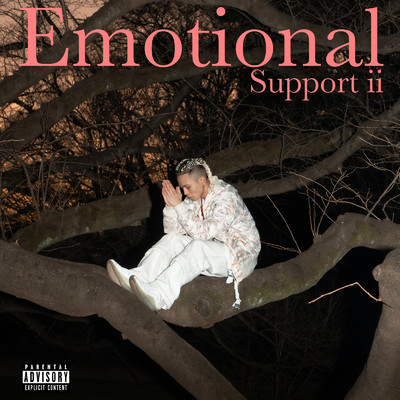 Emotional Support ii/CALI MELLOW