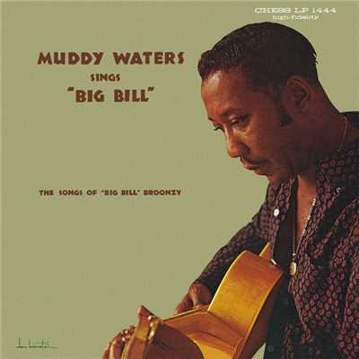 アルバム/Muddy Waters Sings Big Bill Broonzy/マディ・ウォーターズ